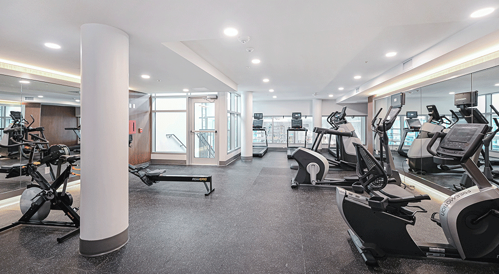 Viewstar Gym